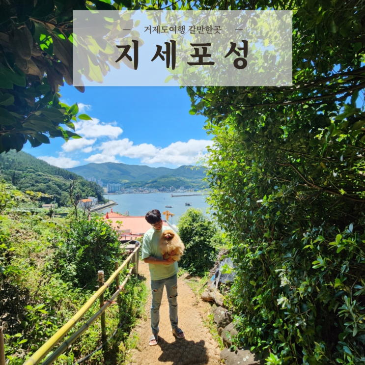  거제도 애견동반여행 5~7월 갈만한곳 지세포성 꽃동산 꽃축제