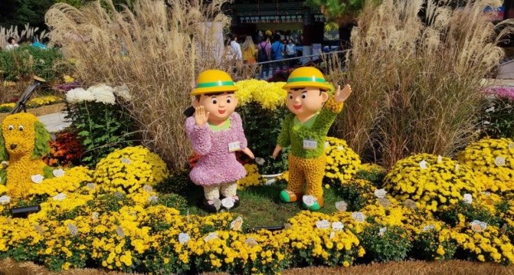 가을꽃축제 조계사 국화축제 서울가을나들이