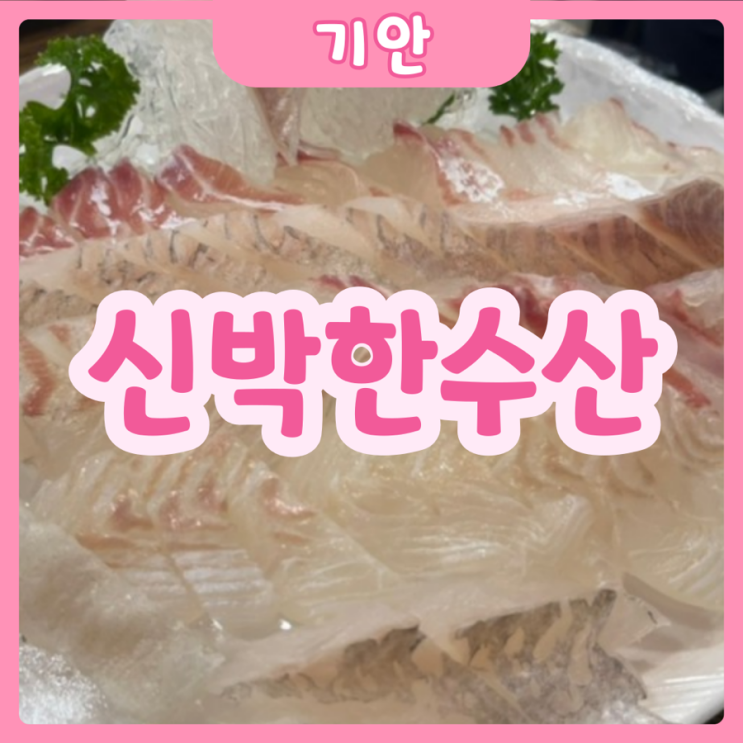  [화성|기안] 신박한수산 | 기안동 횟집추천! 신박한 스페셜 2인!!