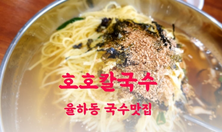  반야월 맛집 율하동 국수 맛집 찾으신다면  호호칼국수