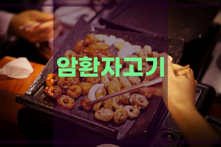  암환자 고기 단백질 섭취할 때 주의할 점