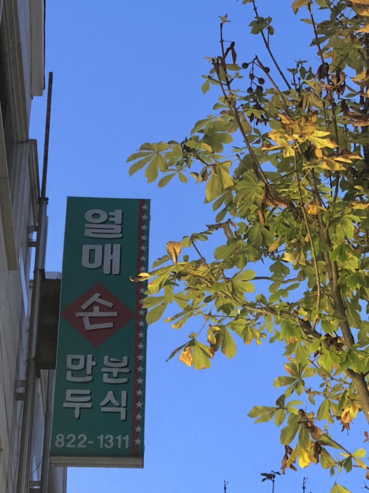 대전 노은동 찐맛집 열매손만두분식 (백종원님도 다녀감!)