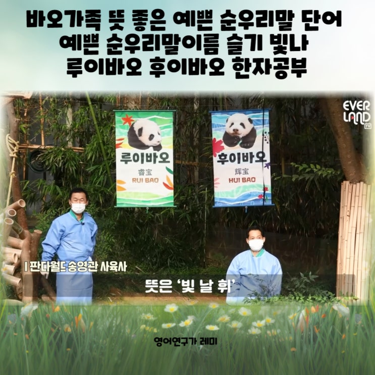 바오가족 뜻 좋은 예쁜 순우리말 단어 예쁜 순우리말이름 슬기 빛나 루이바오 후이바오 한자공부 바오가족 뜻 좋은 예쁜 순우리말 단어 예쁜 순우리말이름 슬기 빛나 루이바오 후이바오 한자공부