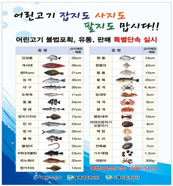 물때표 보는방법 조금, 무시 어종별 최적의 낚시 물때 : 네이버 블로그