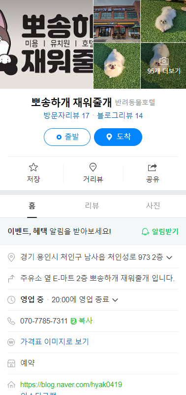 사진 10