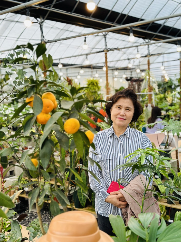일산 화훼단지.작은숲가드닝샵.예쁜 식물 구매하고 분갈이하고 온 후기. 일산 꽃집.
