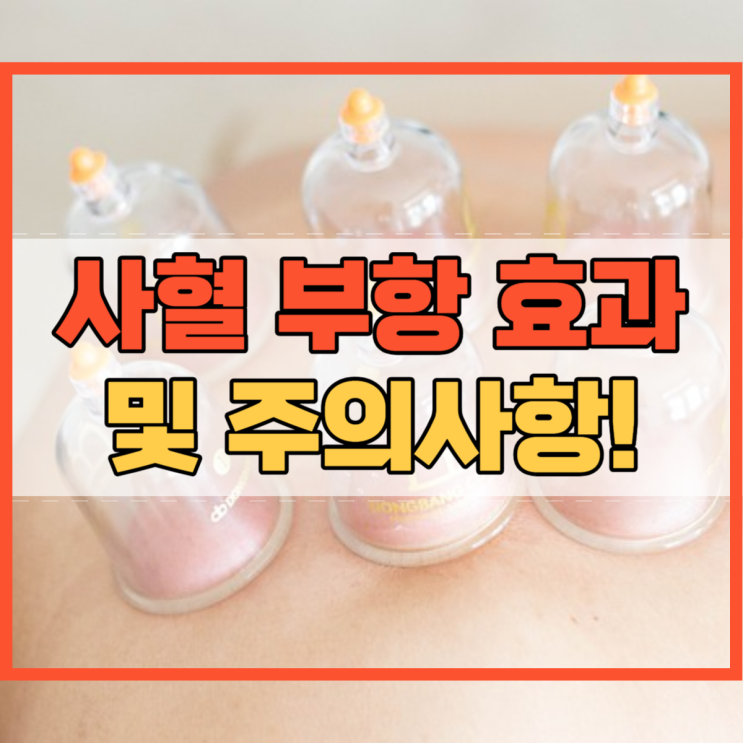  사혈 부항 효과 및 주의사항!