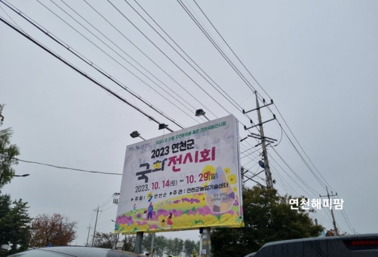  연천 국화전시 천만송이 국화축제 개막 콘서트 먹거리 정보