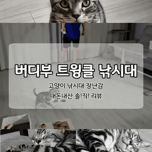 고양이 장난감 리뷰 버디부 트윙클 낚시대 - 끈 좋아하는 고양이 다 모여!!!