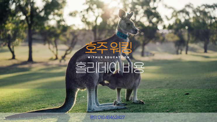  호주 워홀 워킹홀리데이 나이 비자 신청 준비 비용