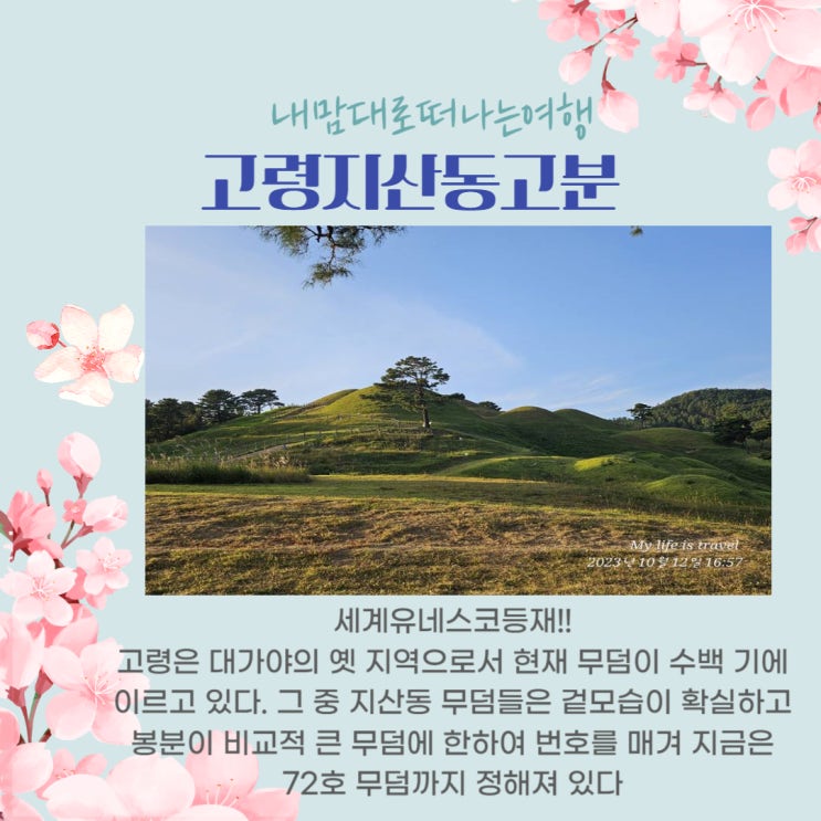  대구근교가볼만한곳-아이들과가기좋은대구근교 고령지산동고분-세계유네스코등재!!
