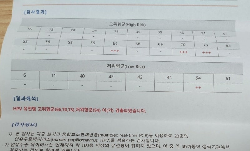 인유두종바이러스 HPV , 자궁경부 세포검사, 결과