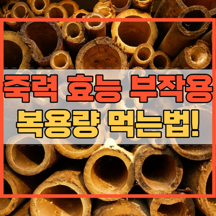  죽력 효능 부작용 죽력고 효과 섭취량 먹는법!