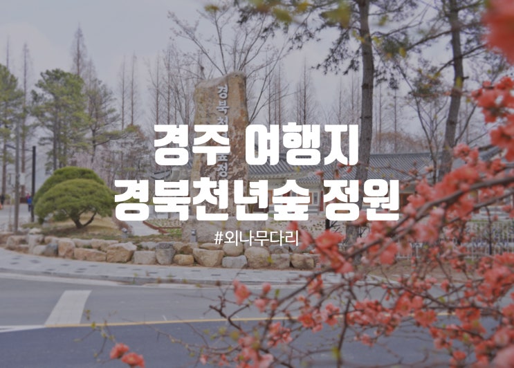  경주여행 경북천년숲정원의 주차, 외나무다리위치 등 정보