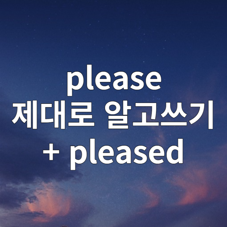  please, pleased 제대로 알고 쓰기