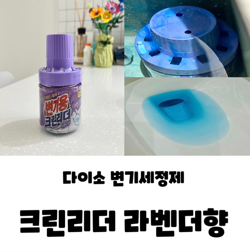 다이소 변기세정제 병타입 변기용 크린리더 라벤더향 유지 기간
