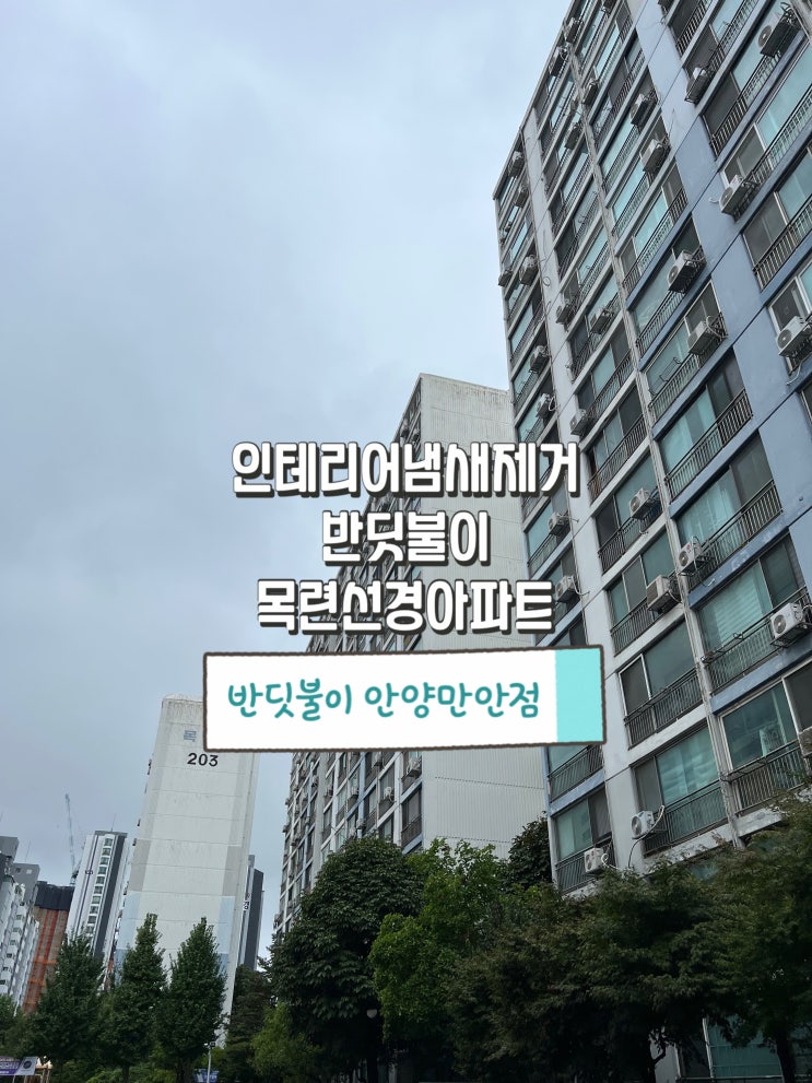  안양평촌 목련선경아파트 인테리어냄새제거 반딧불이 시공 완료!