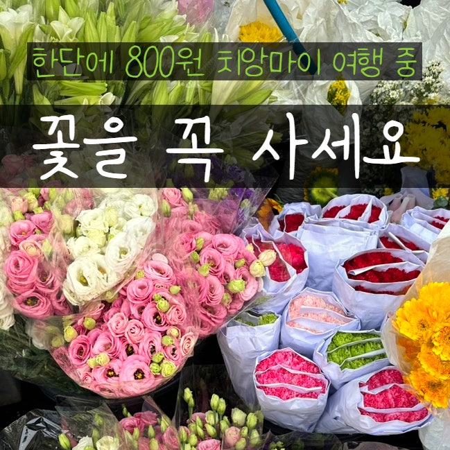  태국 치앙마이 시장 므앙마이 꽃시장 Florist Market