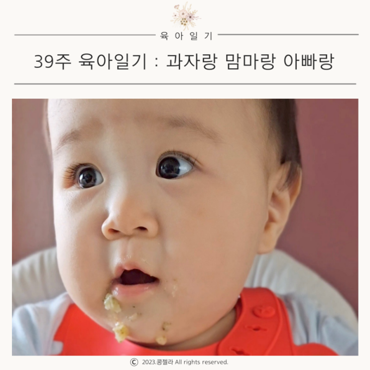 육아일기 39주 : 9개월아기 과자 맘마가 좋아!