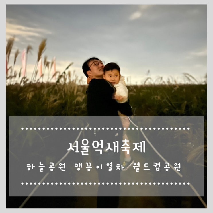  서울억새축제 하늘공원 맹꽁이열차(시간,가격) 월드컵공원
