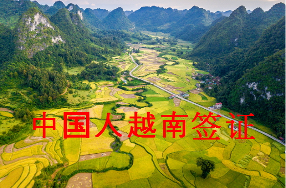  중국인 베트남비자 발급 / 中国人越南签证