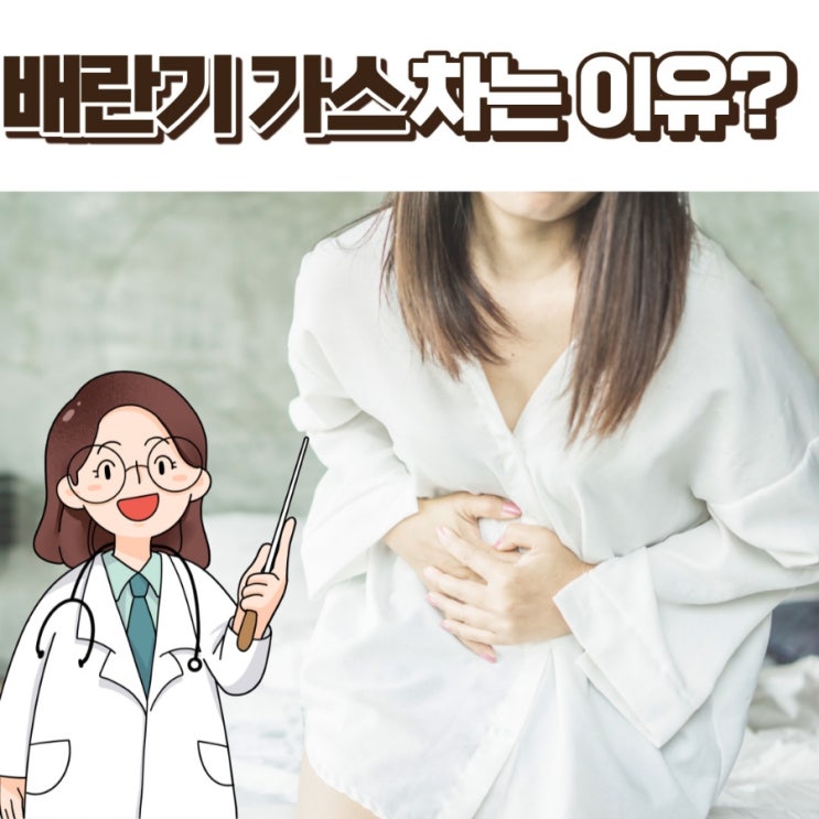  배란기 가스 배란통 가스 차는 이유, 저의 배란통 경험담