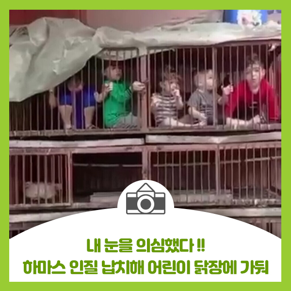  내 눈을 의심했다~!! 150여명 아이들 납치해 닭장에 가둔 하마스~!!