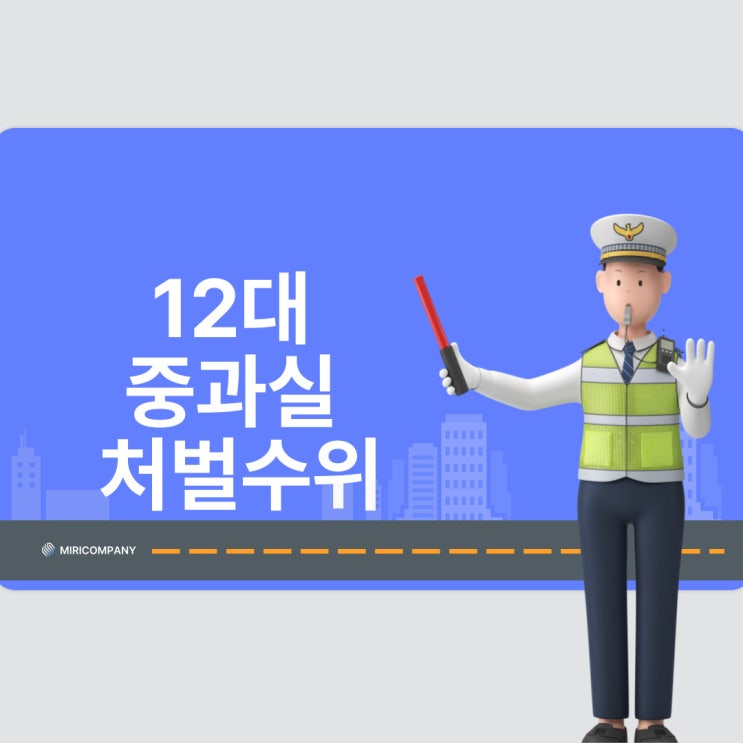  12대 중과실 2탄