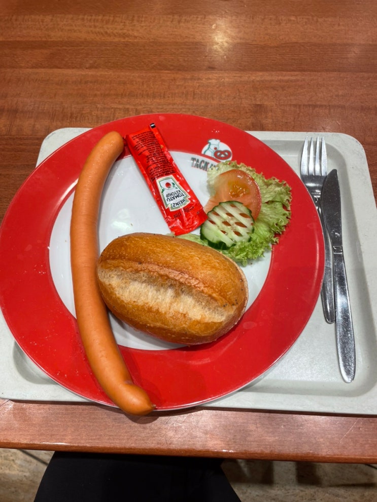 [독일 일상] 남친 도시락 해물 김치전 양배추 샌드위치 고추장떡 어묵탕 카페에서 점심