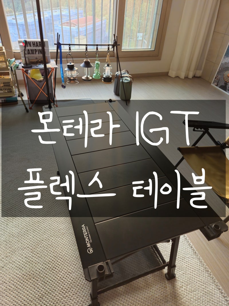 몬테라 igt 플렉스 테이블(Ft. IGT에 발을 들여버리다..)