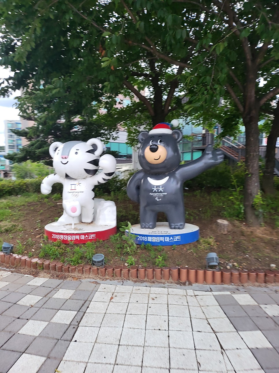 로얄모텔 사진 6