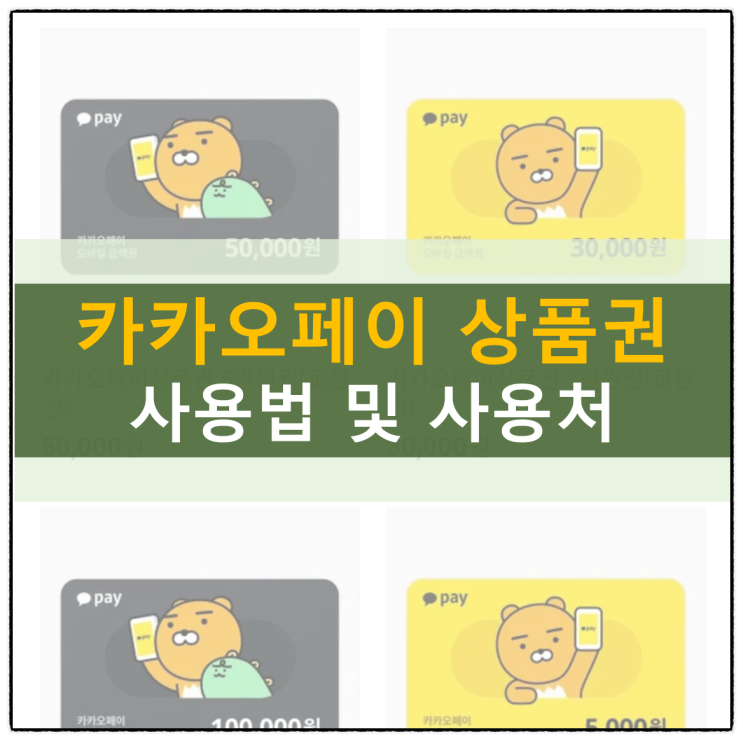 카카오페이 상품권 사용법과 사용처, 등록 방법 카카오페이 상품권 사용법과 사용처, 등록 방법
