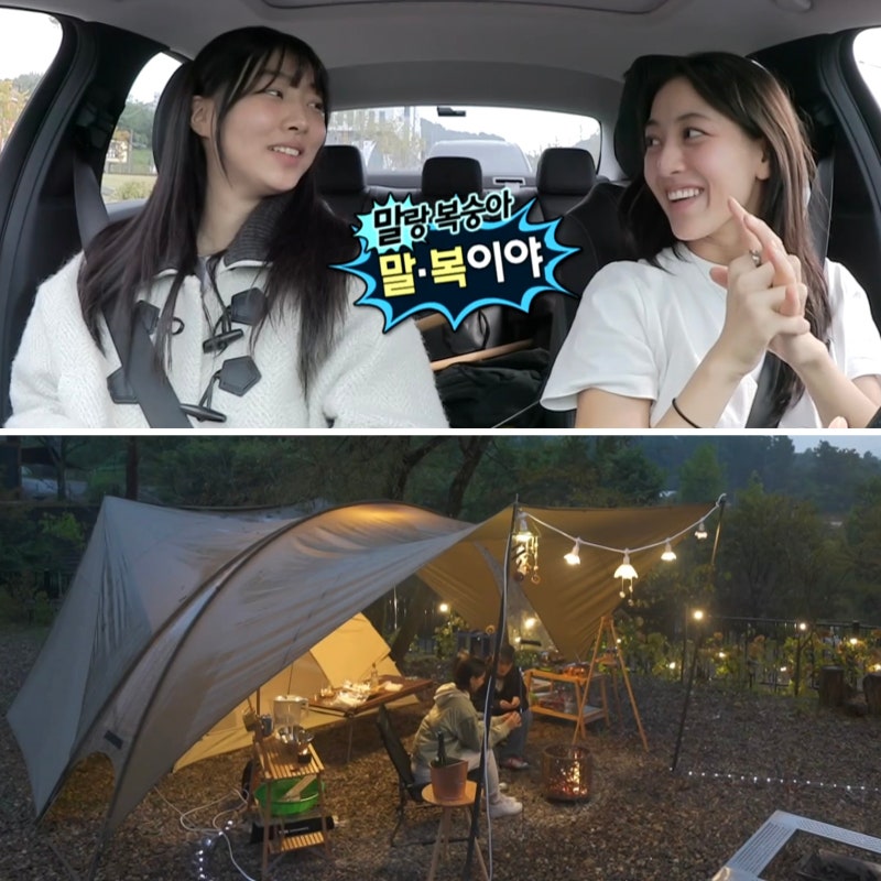 나혼자산다 지효템 뭐야? 나혼산 타프 랜드페이지, 트와이스 지효 여동생 이하음 아우터 모....