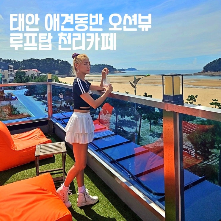  태안 애견동반 오션뷰 카페 천리카페