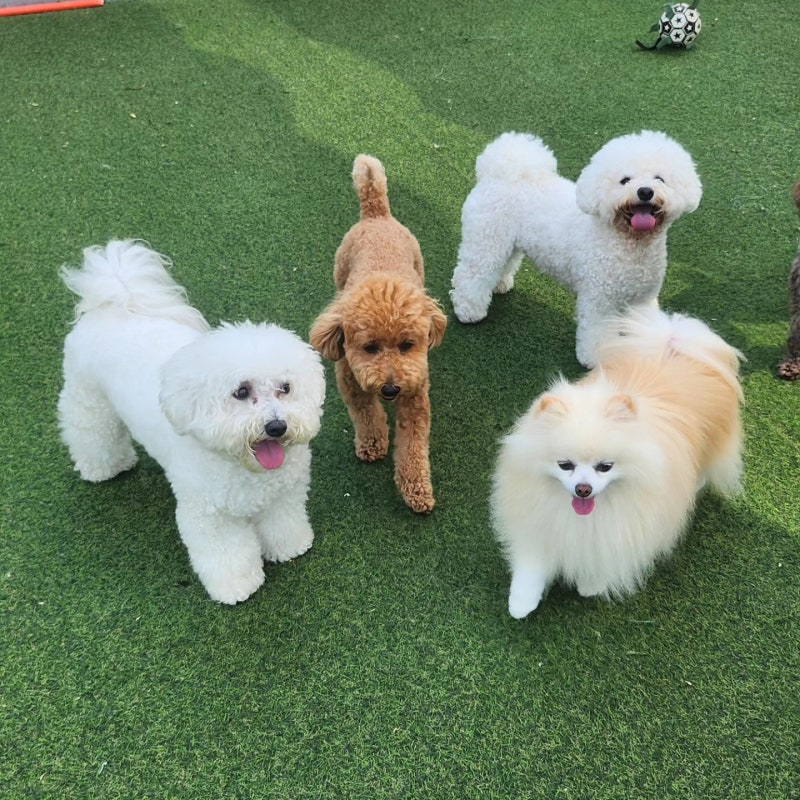 사진 7