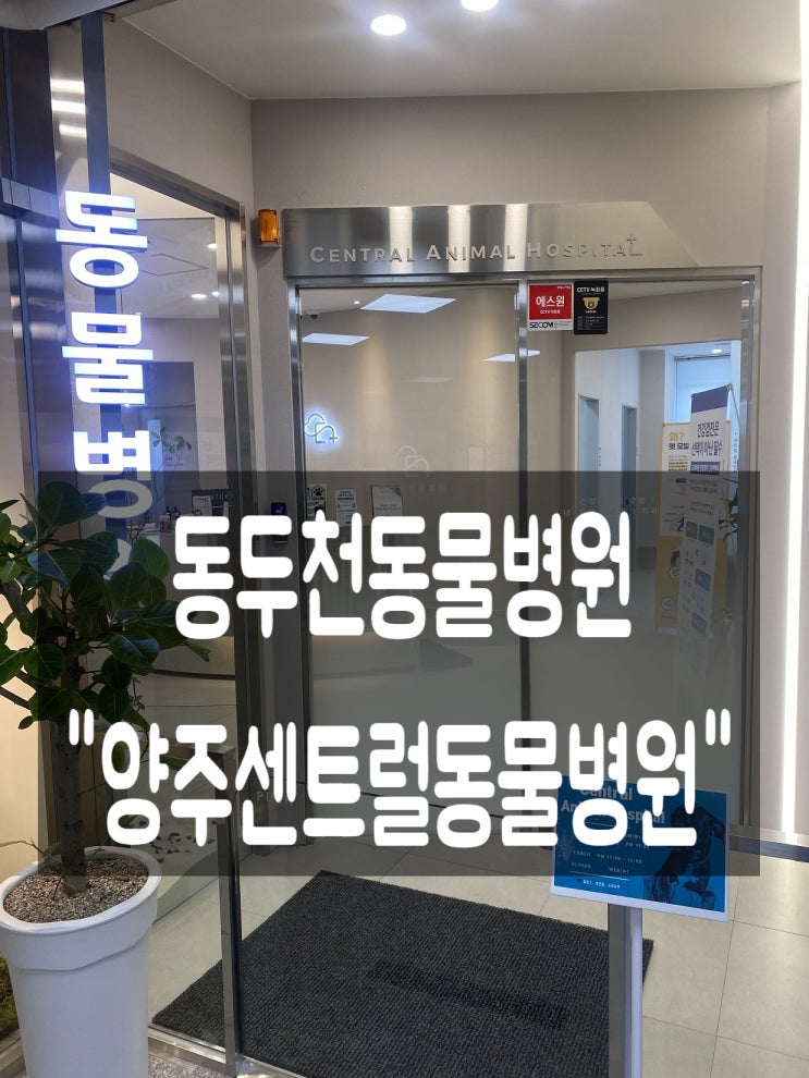  동두천동물병원 고마운게 많아