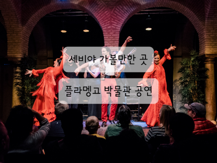  [스페인 세비야 여행] 플라멩코 박물관에서 플라멩고 공연 관람 (가격, 예약 방법, 선택이유, 솔직 후기)