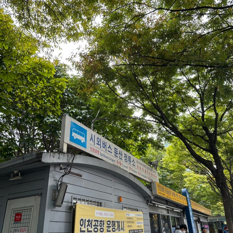 대전에서 인천공항가기, 대전청사공항(선사유적) 버스 탑승 위치 및 모바일 예매 방법 (feat.....