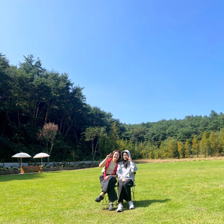  봉화 비진숲커피 카페 인생샷 찍기 경북 메타세콰이어길 커피숍