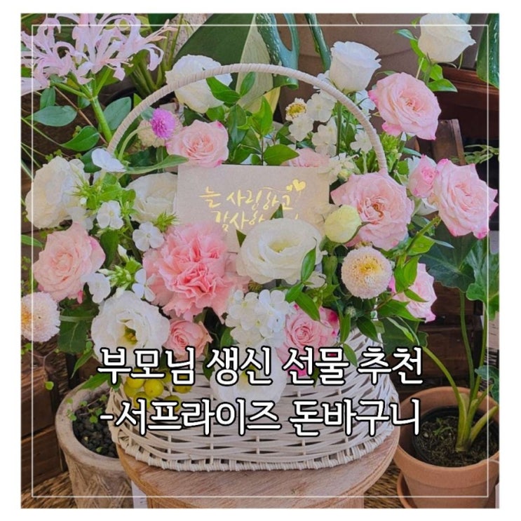  [플라워니] 돈이 술술~ 돈바구니 S size