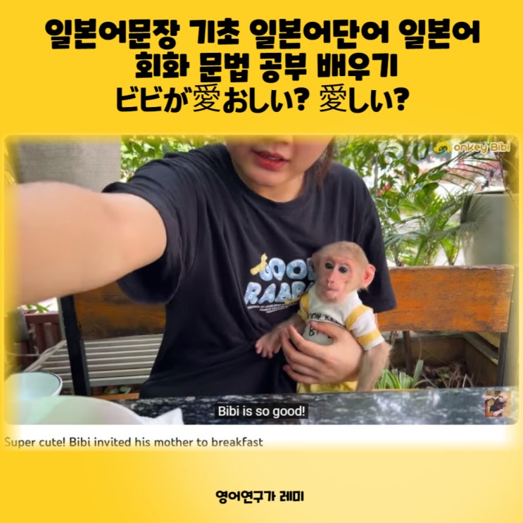 일본어문장 기초 일본어단어 일본어 회화 문법 공부 배우기 ビビが愛おしい? 愛しい? 일본어문장 기초 일본어단어 일본어 회화 문법 공부 배우기 ビビが愛おしい? 愛しい?