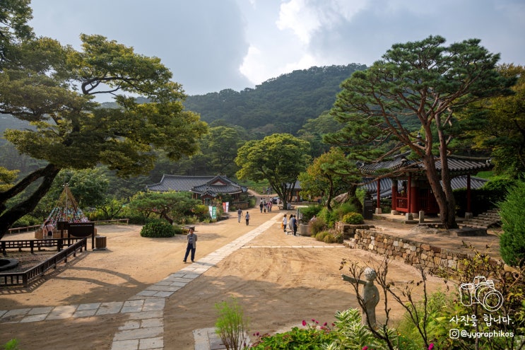  [인천시 강화군 길상면] 강화도 여행 가볼만한곳, 사찰 - 전등사