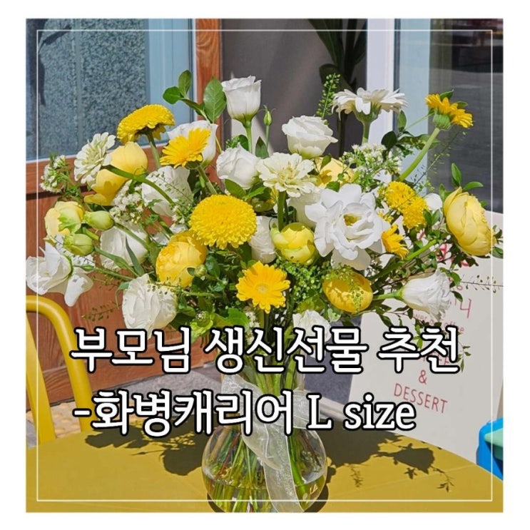  [플라워니] 부모님 선물 화병캐리어 L size