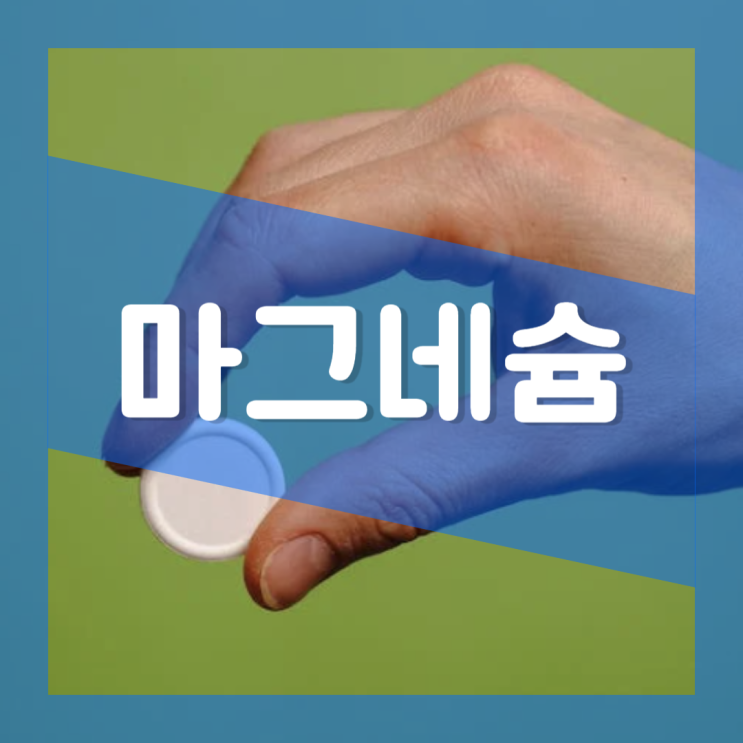  킬레이트 마그네슘 영양제 효능 효과 역할 : 과다 부작용 설사 소화 신장