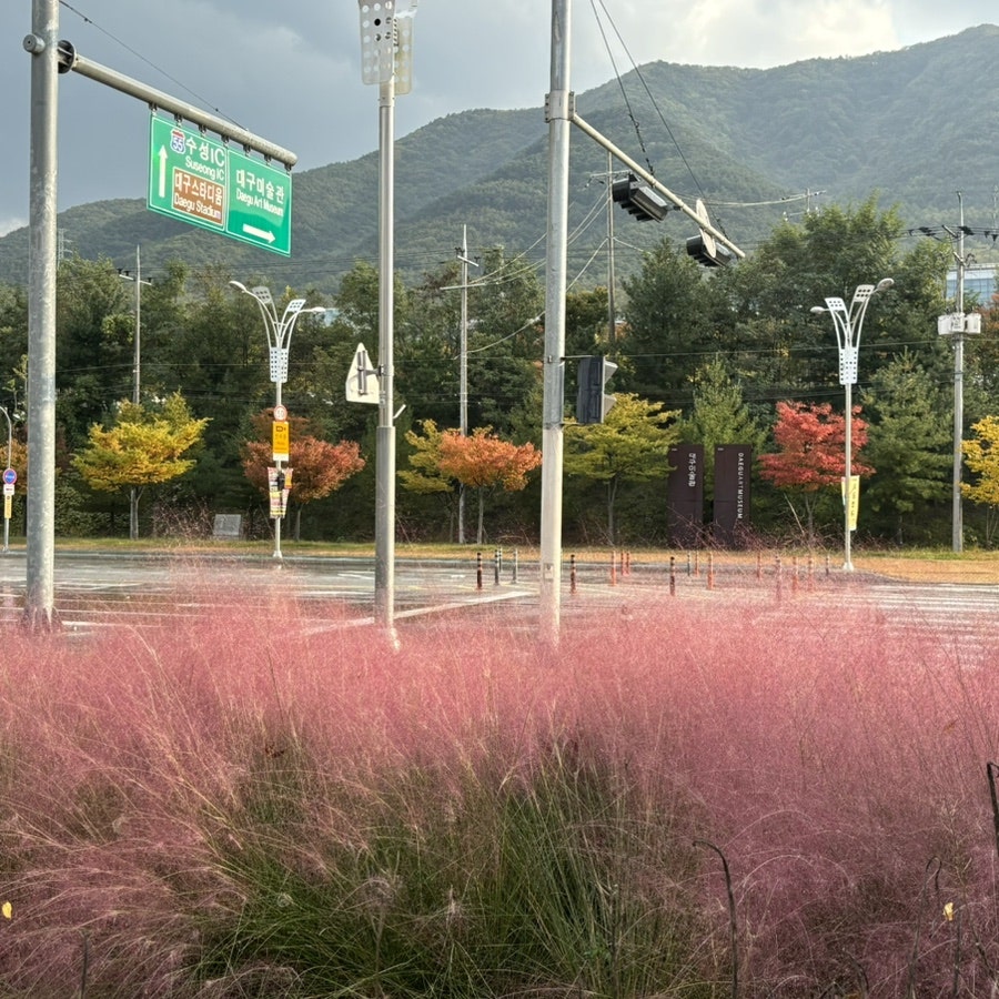롤링핀 덕천418점 사진 3