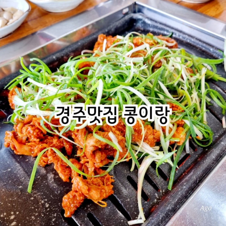 경주맛집 콩이랑 feat 가성비맛집
