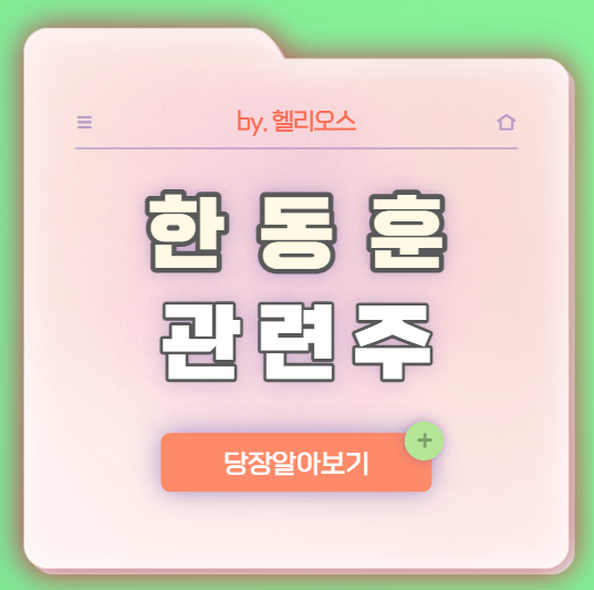 정치 테마주 시리즈 : 한동훈 관련주, 대장주