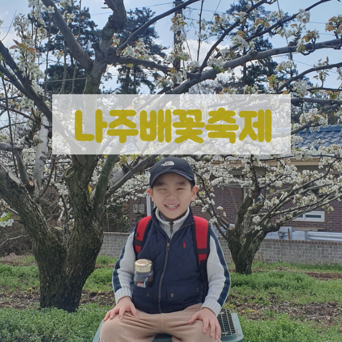 아이와 봄나들이 벗꽃보다 예쁜 배꽃보고 왔어요 <제1회나주배꽃축제 >