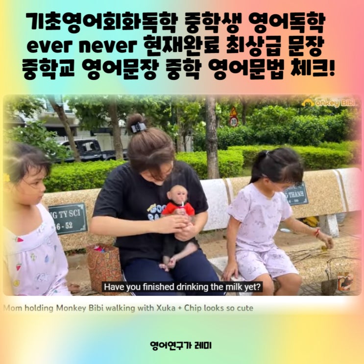 기초영어회화독학 중학생 영어독학 ever never 현재완료 최상급 문장 중학교 영어문장 중학 영어문법 체크!