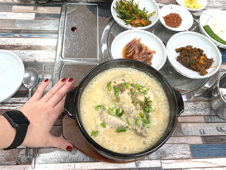 제주도 현지인 삼계탕맛집 산약초들깨삼계탕